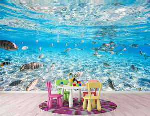 Fish and black tipped sharks Wall Mural Wallpaper - Canvas Art Rocks - 2
