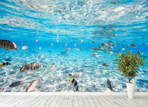 Fish and black tipped sharks Wall Mural Wallpaper - Canvas Art Rocks - 4