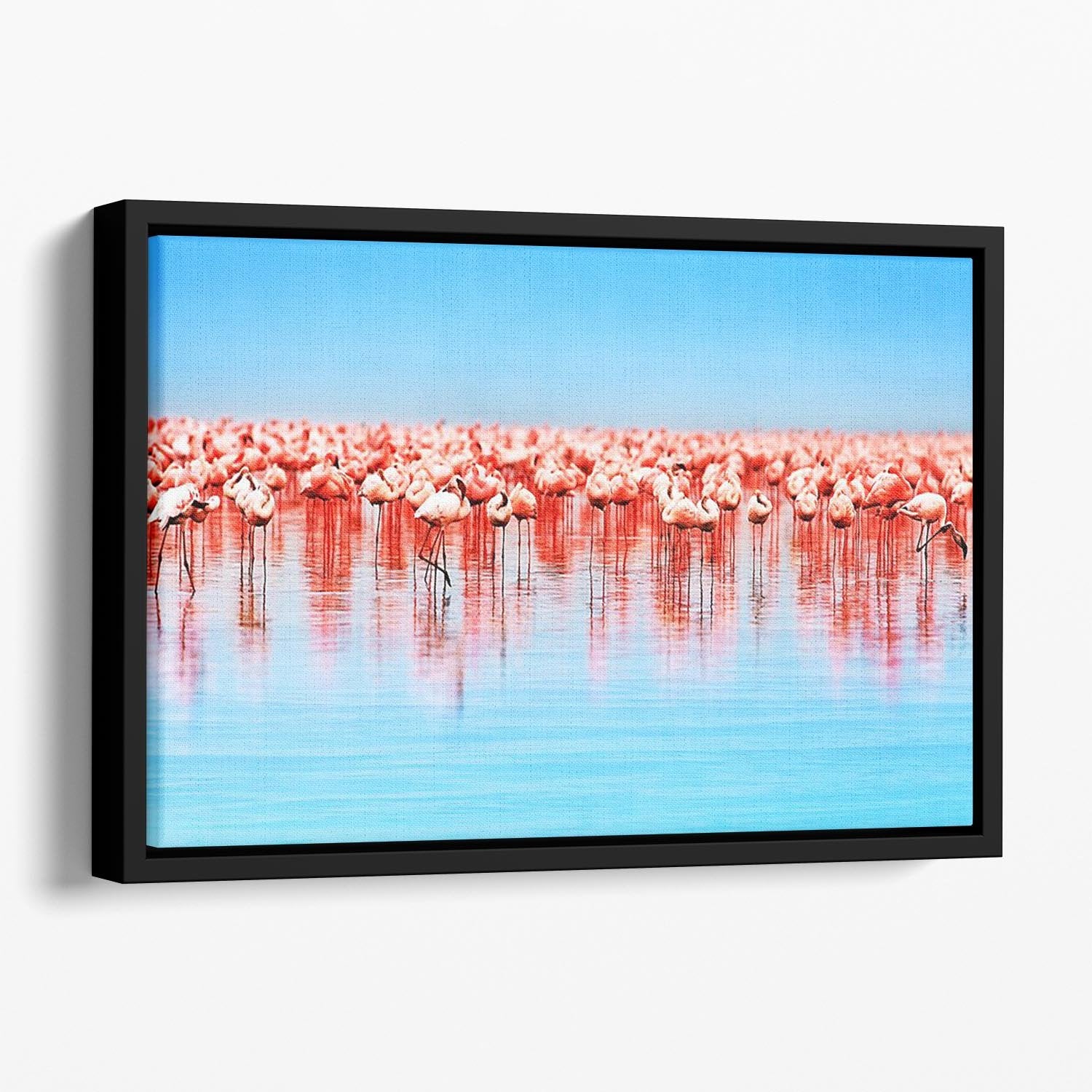 Flamingo birds in the lake Nakuru Floating Framed Canvas - Canvas Art Rocks - 1