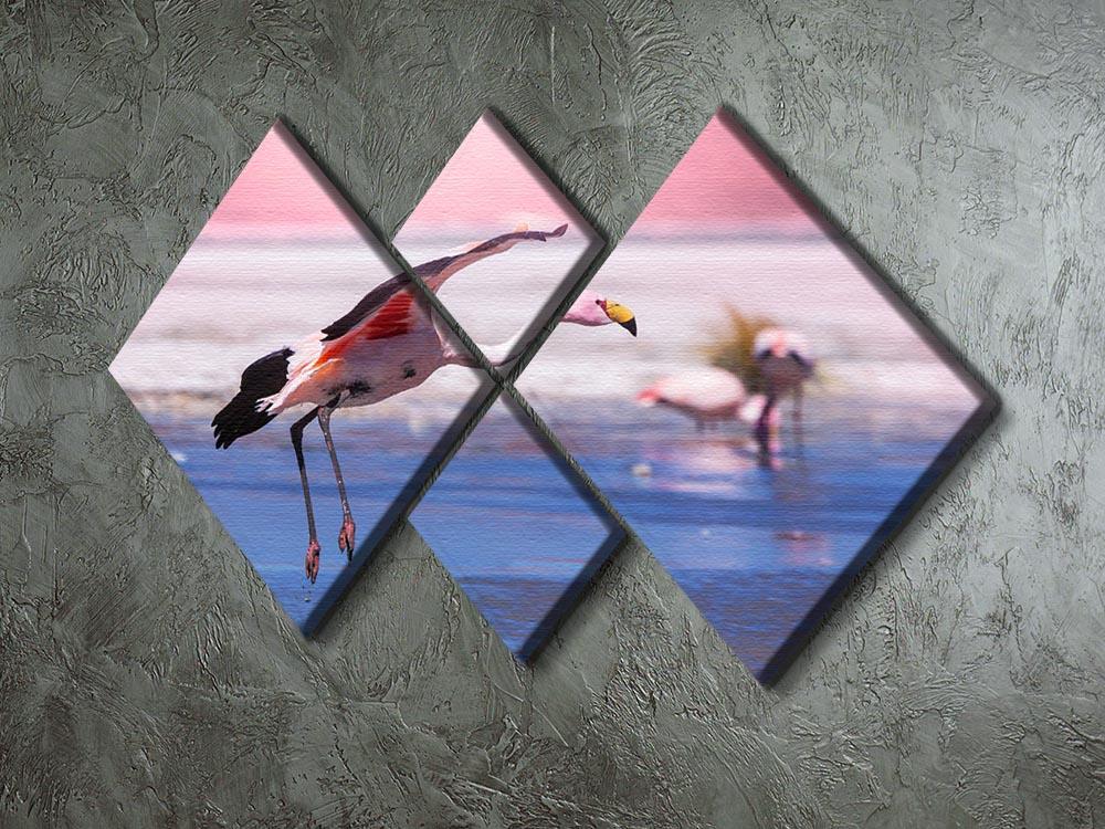 Flamingo in Bolivia 4 Square Multi Panel Canvas - Canvas Art Rocks - 2