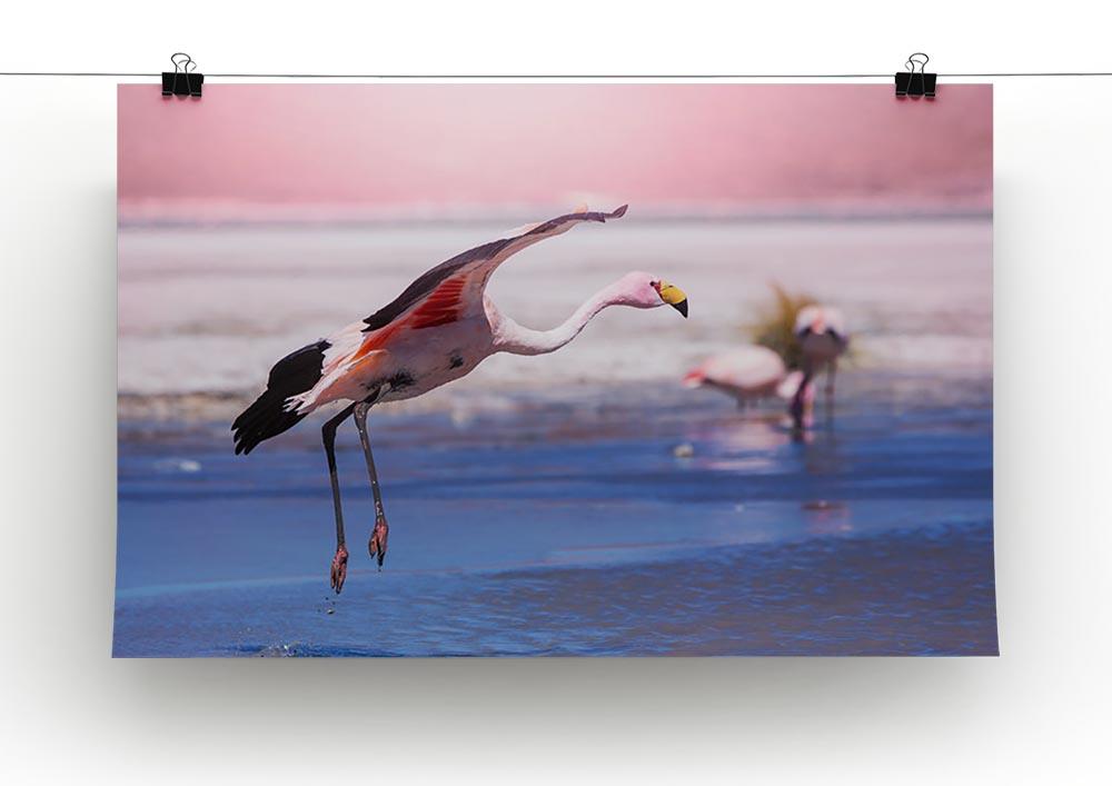 Flamingo in Bolivia Canvas Print or Poster - Canvas Art Rocks - 2