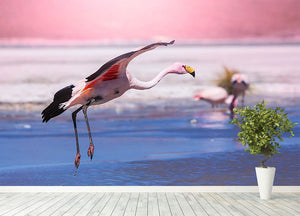 Flamingo in Bolivia Wall Mural Wallpaper - Canvas Art Rocks - 4