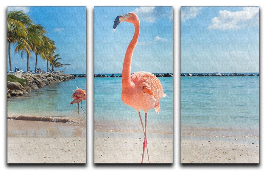 Flamingos on the Aruba beach 3 Split Panel Canvas Print - Canvas Art Rocks - 1