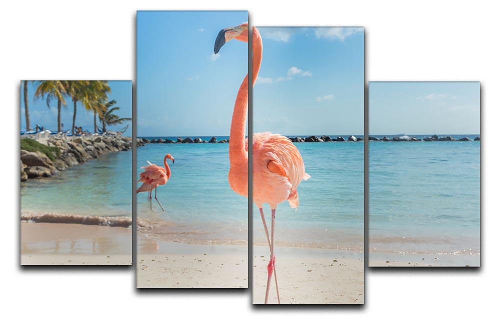 Flamingos on the Aruba beach 4 Split Panel Canvas - Canvas Art Rocks - 1