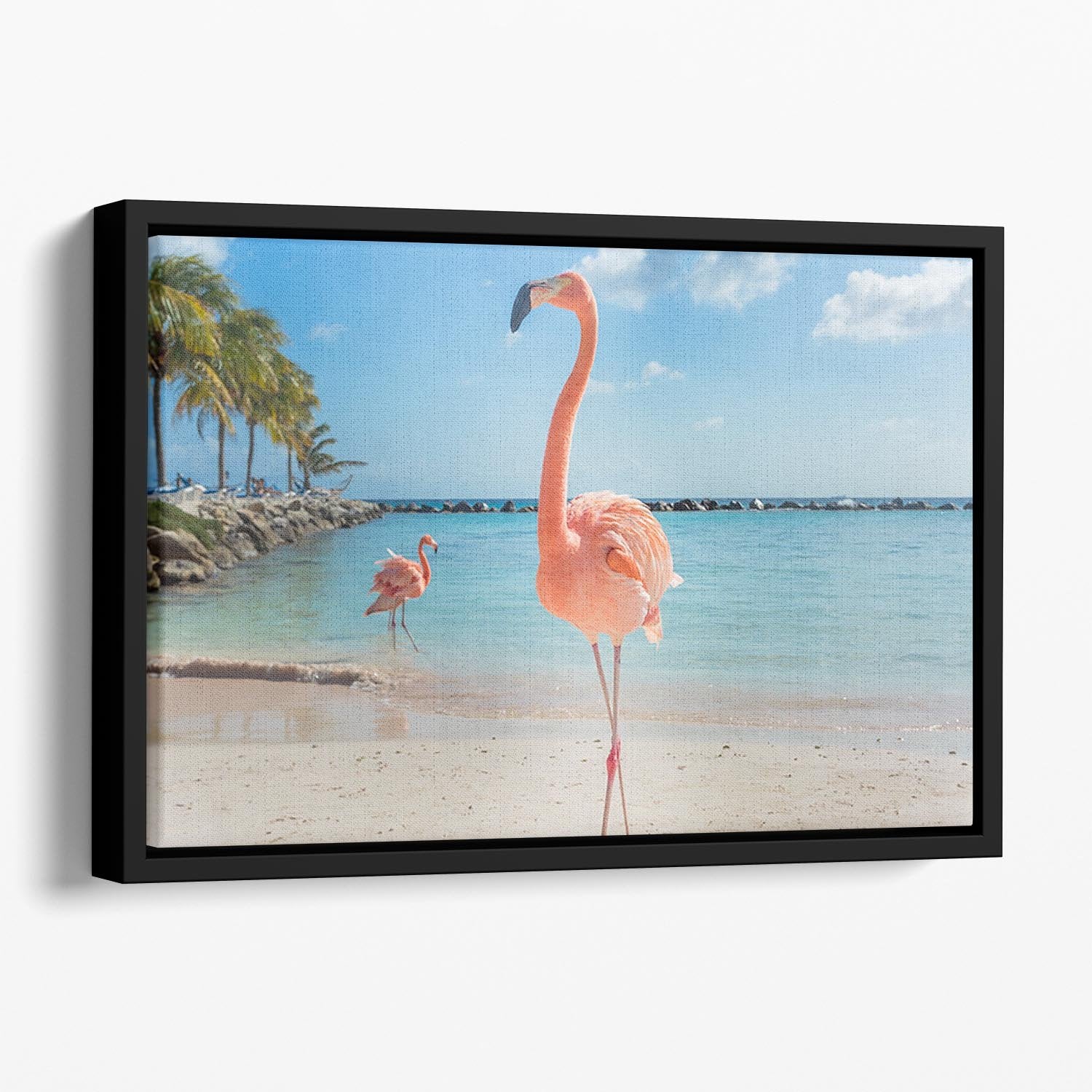 Flamingos on the Aruba beach Floating Framed Canvas - Canvas Art Rocks - 1