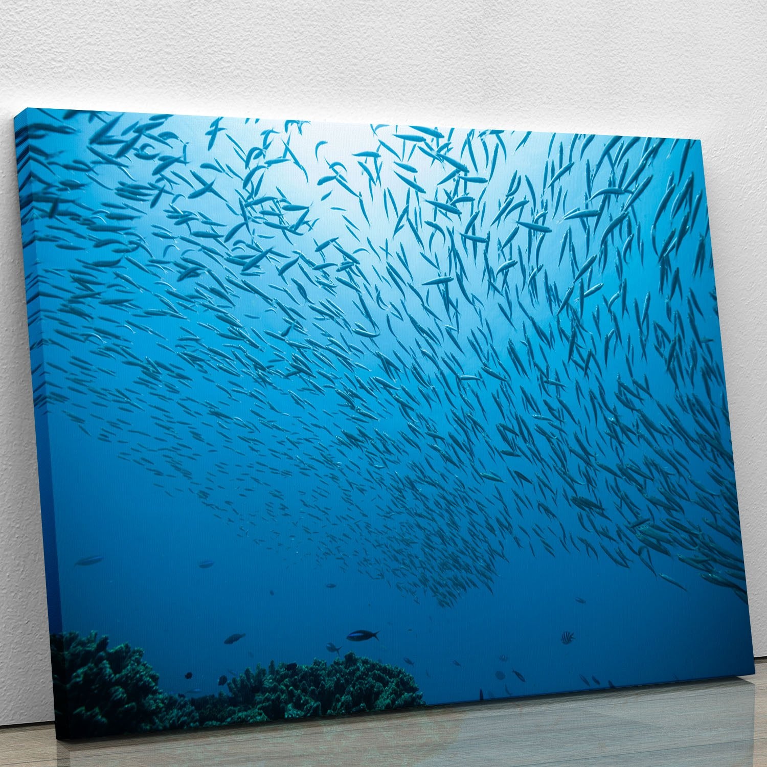 Flock of fish flowing Canvas Print or Poster