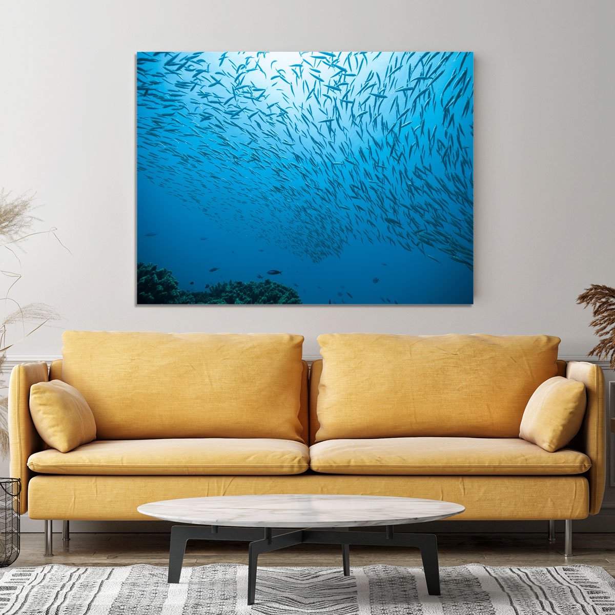 Flock of fish flowing Canvas Print or Poster