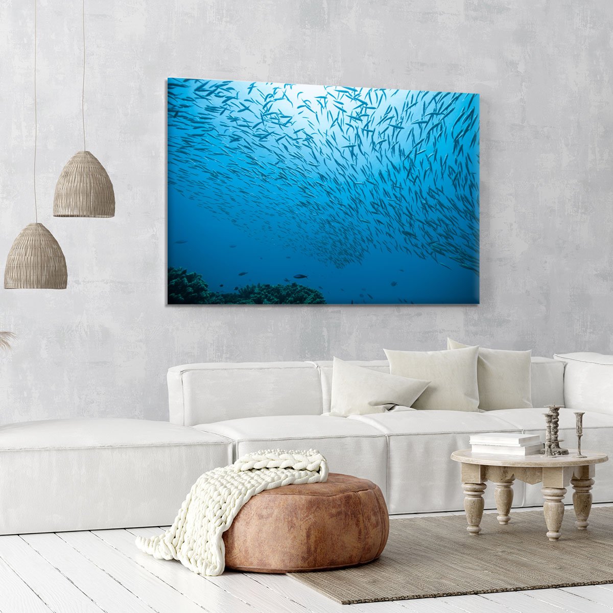 Flock of fish flowing Canvas Print or Poster