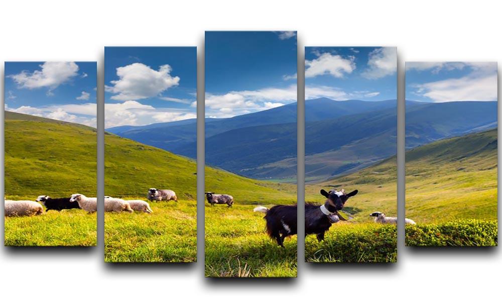 Flock of sheep and goat in the mountains 5 Split Panel Canvas - Canvas Art Rocks - 1