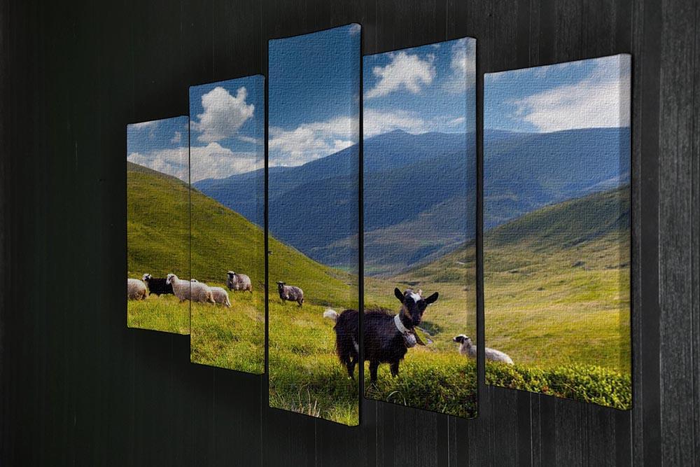 Flock of sheep and goat in the mountains 5 Split Panel Canvas - Canvas Art Rocks - 2