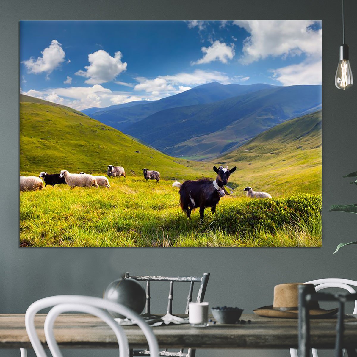 Flock of sheep and goat in the mountains Canvas Print or Poster