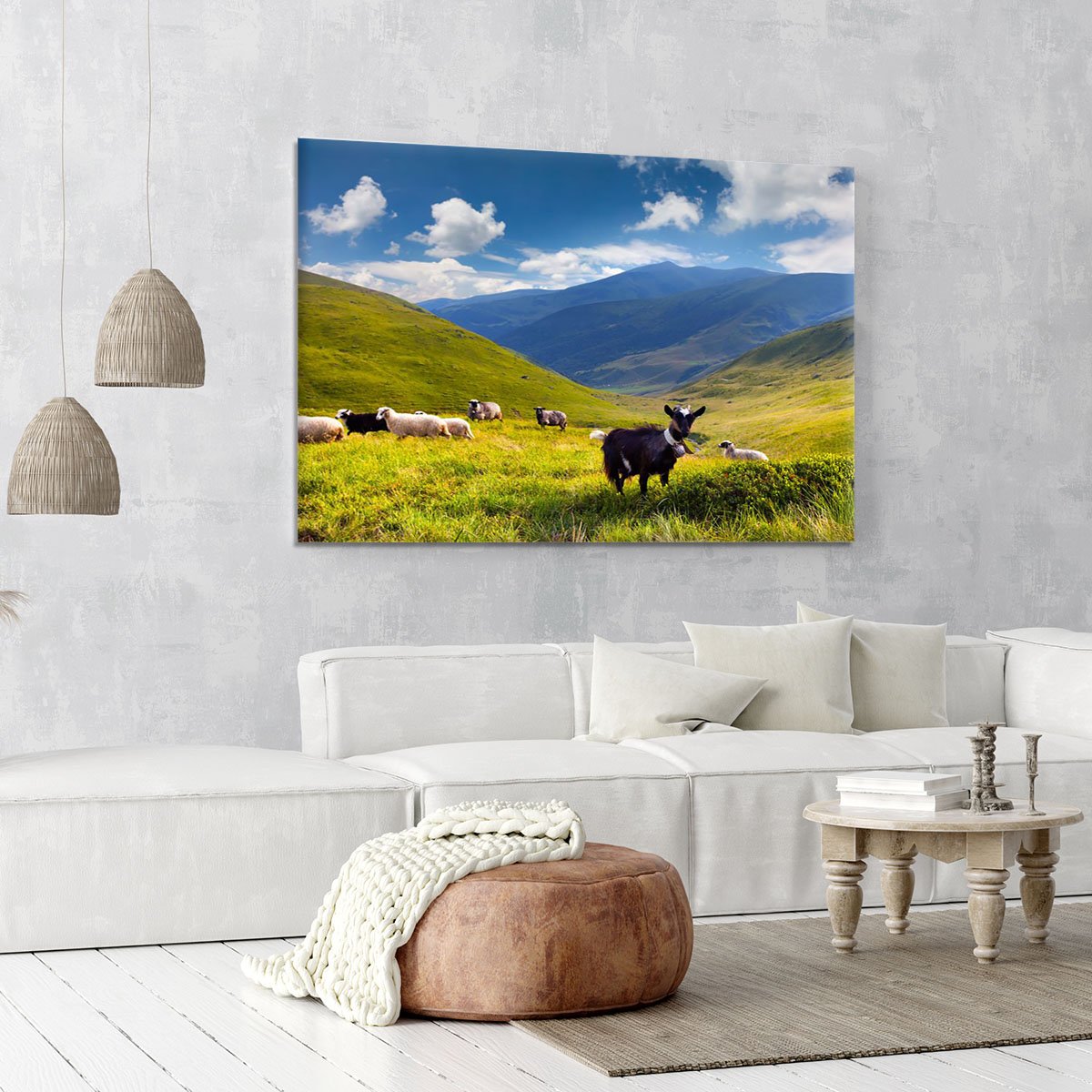 Flock of sheep and goat in the mountains Canvas Print or Poster