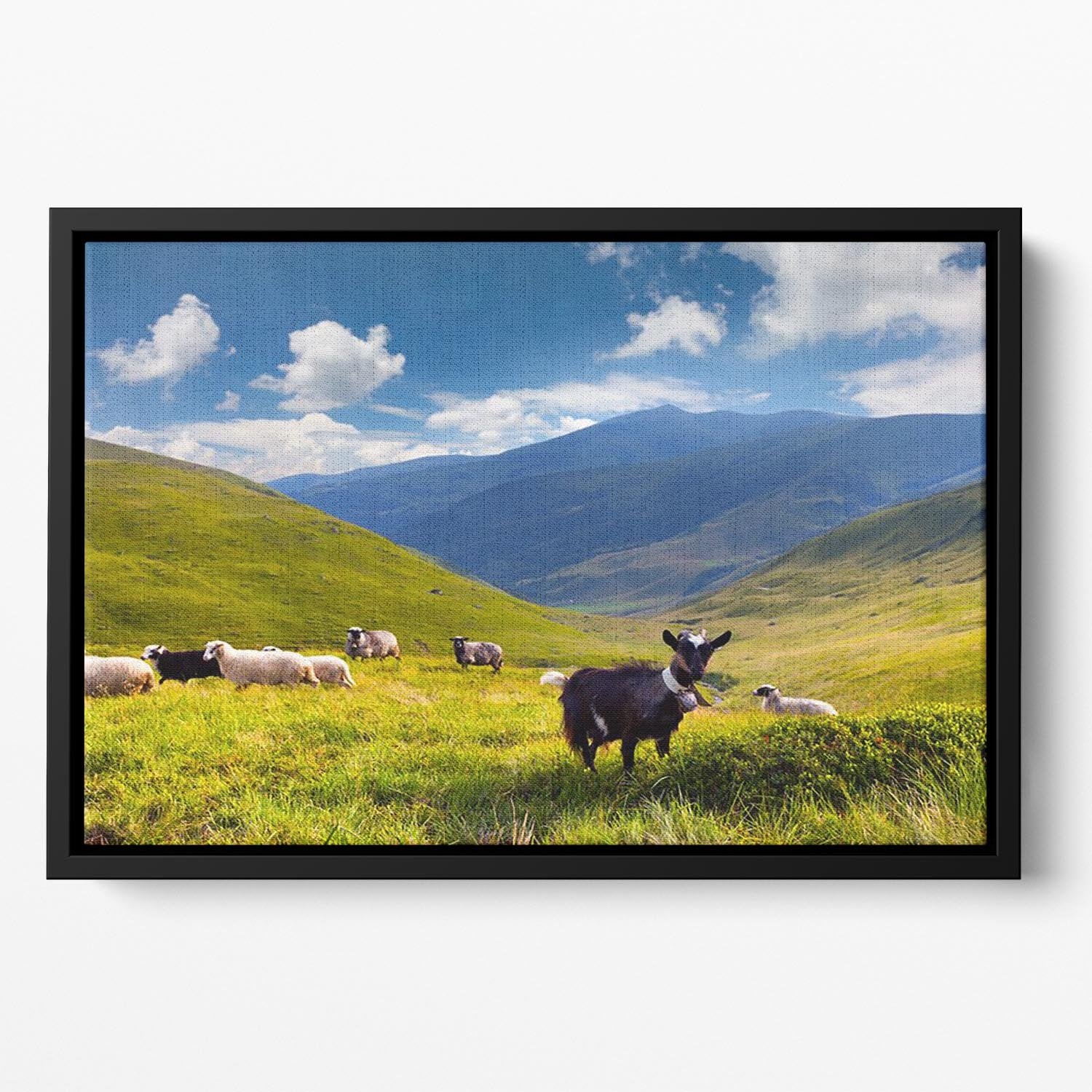 Flock of sheep and goat in the mountains Floating Framed Canvas - Canvas Art Rocks - 2