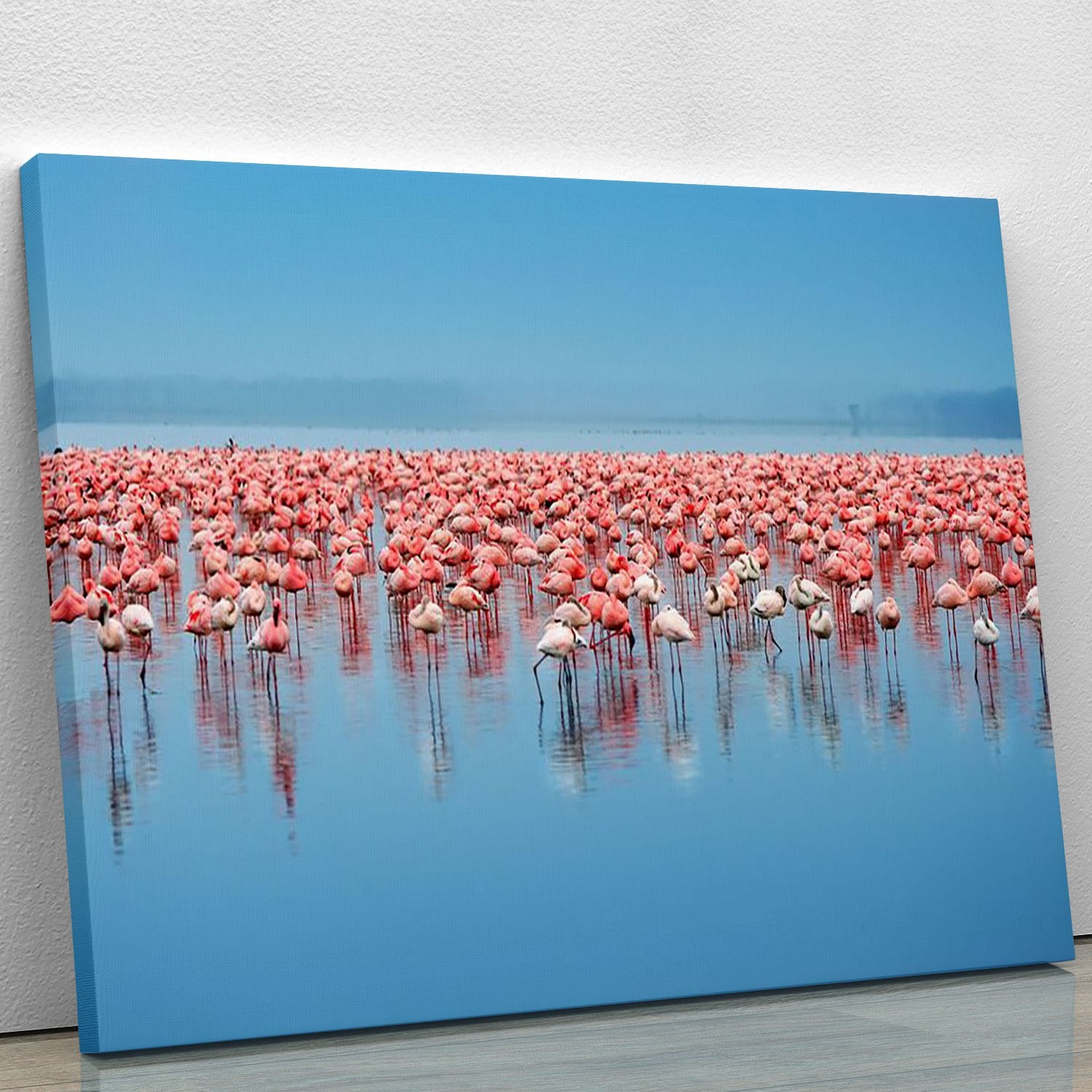 Flocks of flamingo Canvas Print or Poster