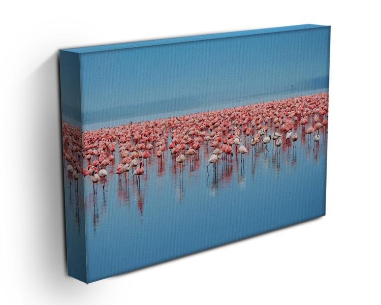 Flocks of flamingo Canvas Print or Poster - Canvas Art Rocks - 3