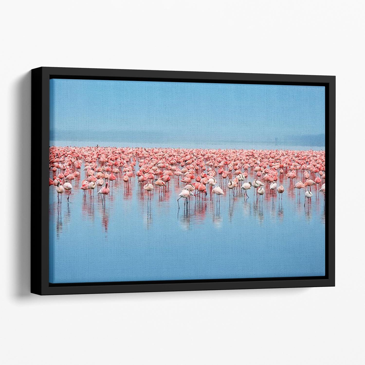 Flocks of flamingo Floating Framed Canvas - Canvas Art Rocks - 1