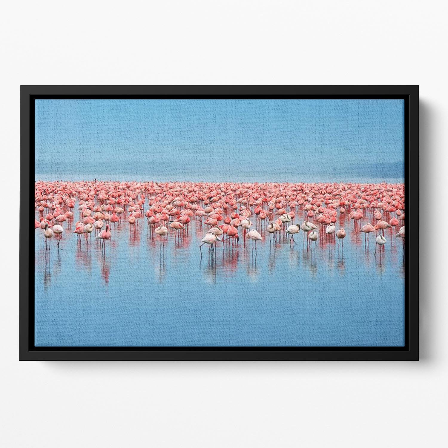 Flocks of flamingo Floating Framed Canvas - Canvas Art Rocks - 2