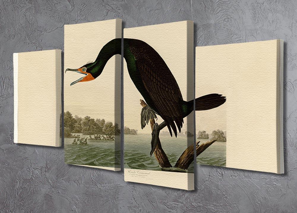 Florida Cormorant by Audubon 4 Split Panel Canvas - Canvas Art Rocks - 2