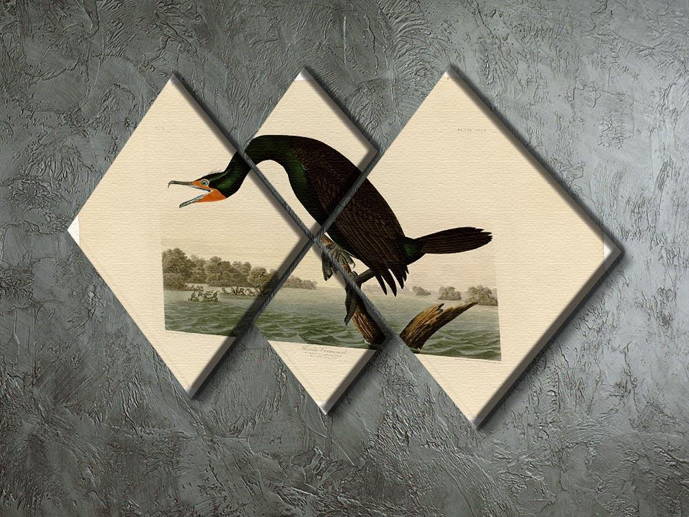 Florida Cormorant by Audubon 4 Square Multi Panel Canvas - Canvas Art Rocks - 2