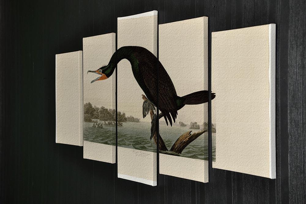 Florida Cormorant by Audubon 5 Split Panel Canvas - Canvas Art Rocks - 2