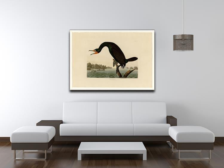Florida Cormorant by Audubon Canvas Print or Poster - Canvas Art Rocks - 4