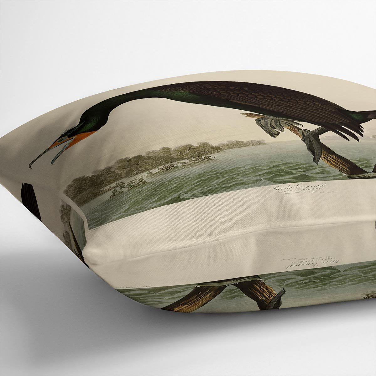 Florida Cormorant by Audubon Cushion