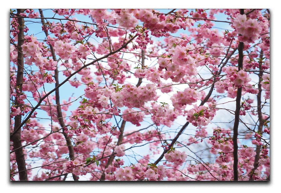 Landscape Flower Print - Canvas Art Rocks - 1
