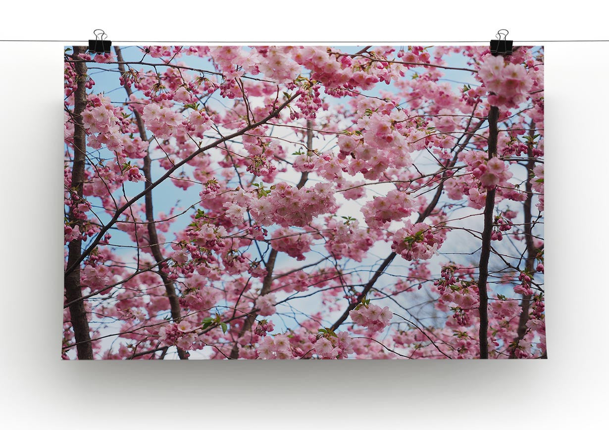 Landscape Flower Print - Canvas Art Rocks - 2