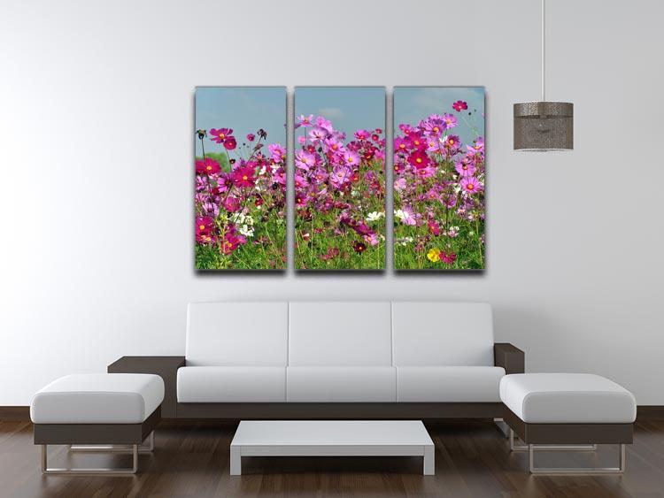 Flower field with blue sky 3 Split Panel Canvas Print - Canvas Art Rocks - 3