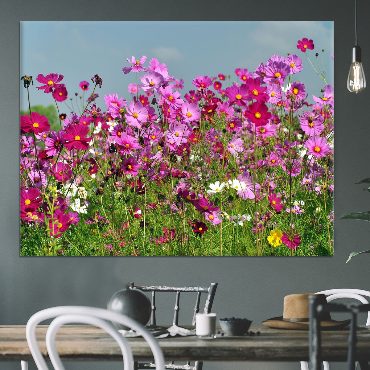 Flower field with blue sky Canvas Print or Poster
