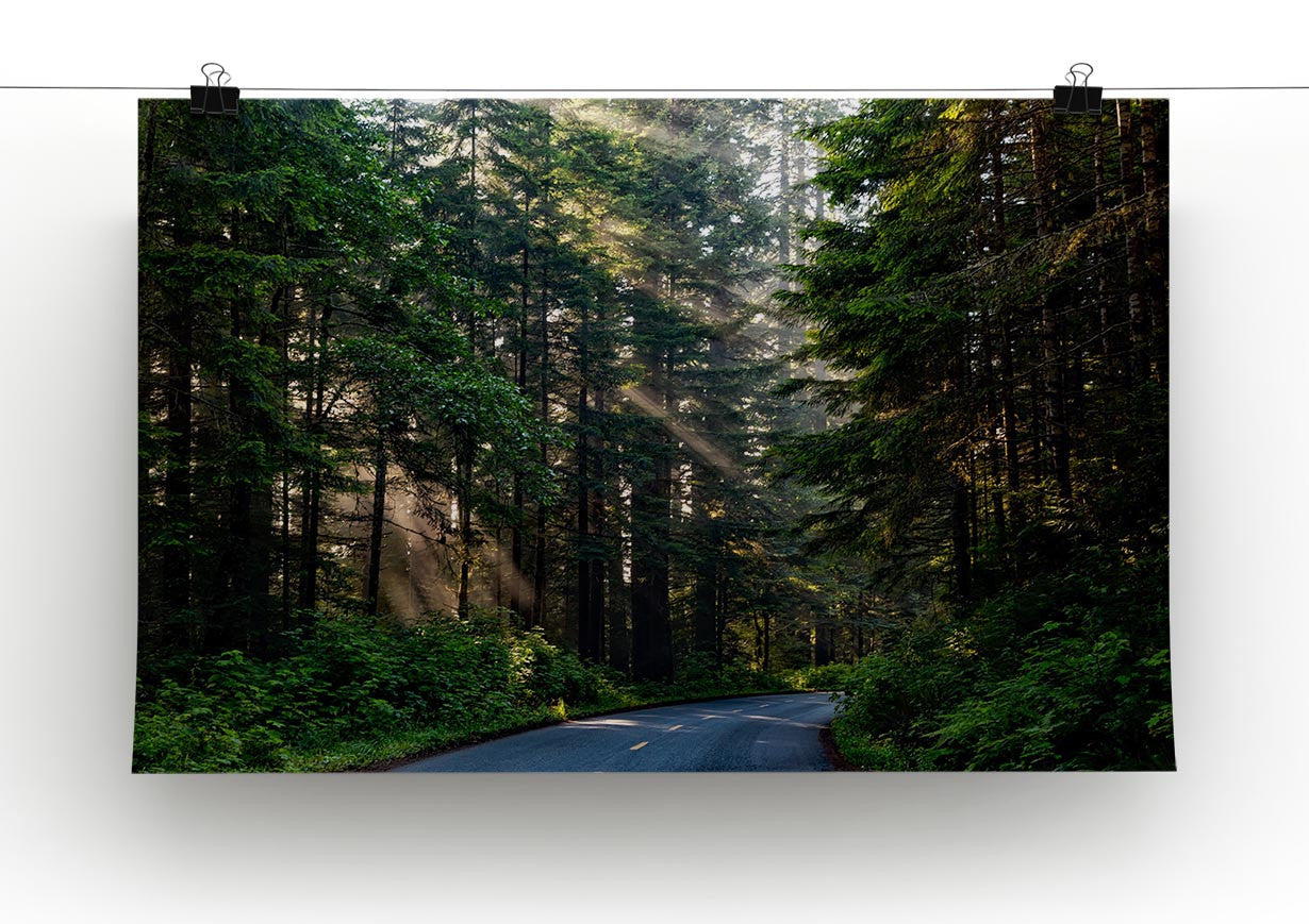 Landscape Forest Print - Canvas Art Rocks - 2