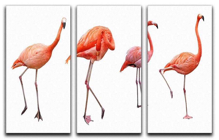 Four pink flamingo birds isolated on white 3 Split Panel Canvas Print - Canvas Art Rocks - 1
