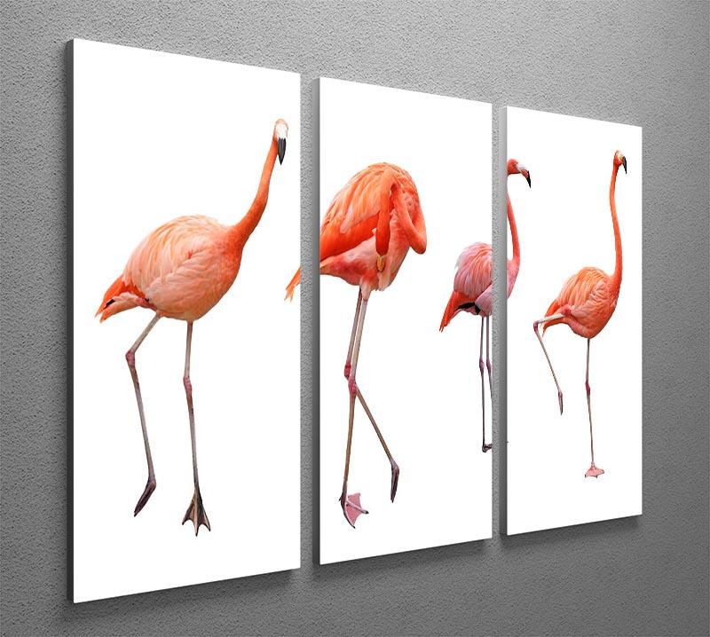 Four pink flamingo birds isolated on white 3 Split Panel Canvas Print - Canvas Art Rocks - 2