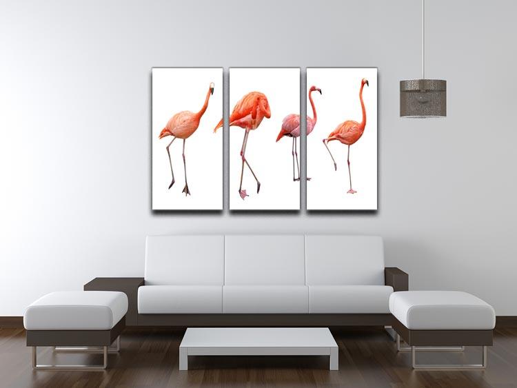Four pink flamingo birds isolated on white 3 Split Panel Canvas Print - Canvas Art Rocks - 3