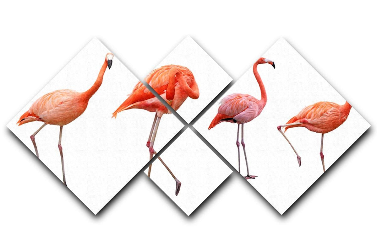 Four pink flamingo birds isolated on white 4 Square Multi Panel Canvas - Canvas Art Rocks - 1