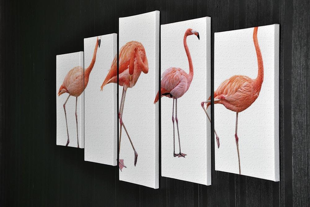 Four pink flamingo birds isolated on white 5 Split Panel Canvas - Canvas Art Rocks - 2