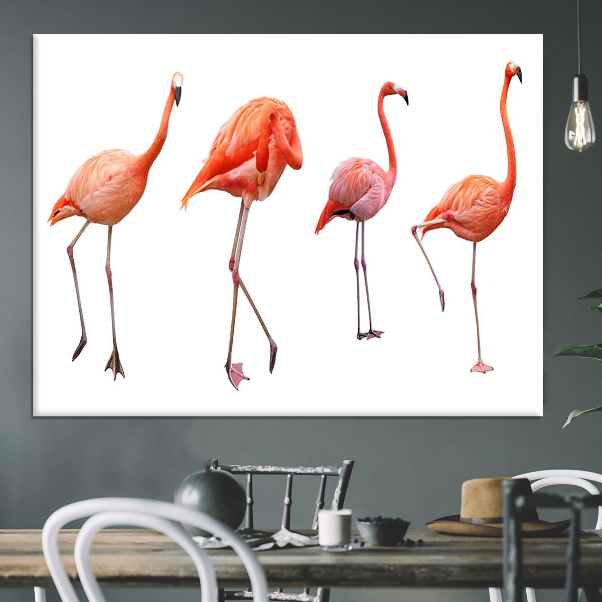 Four pink flamingo birds isolated on white Canvas Print or Poster