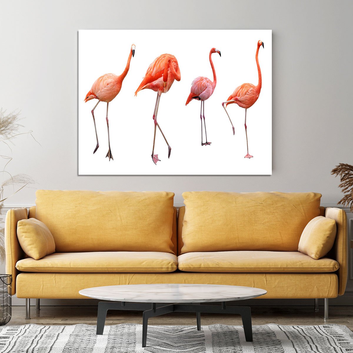 Four pink flamingo birds isolated on white Canvas Print or Poster