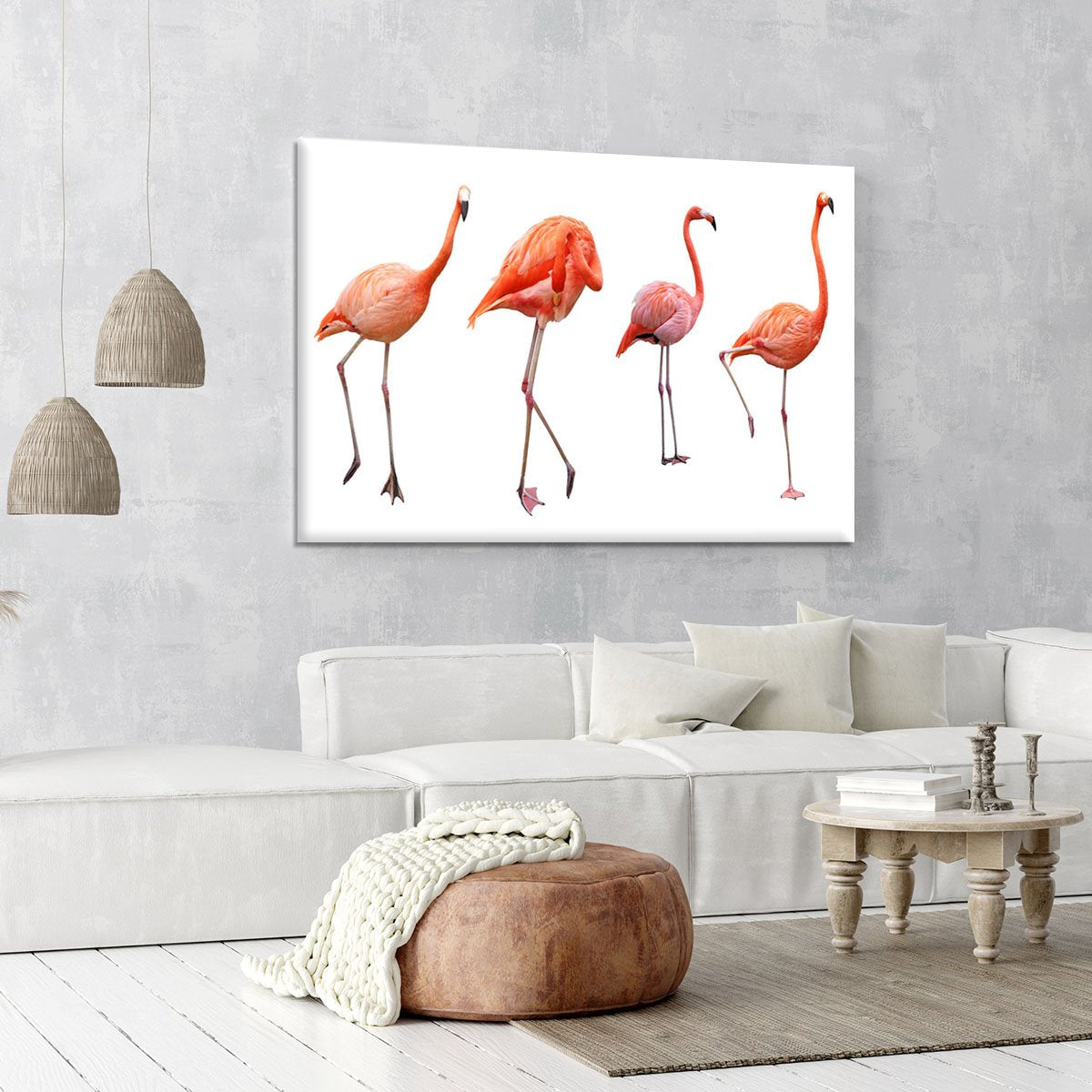 Four pink flamingo birds isolated on white Canvas Print or Poster
