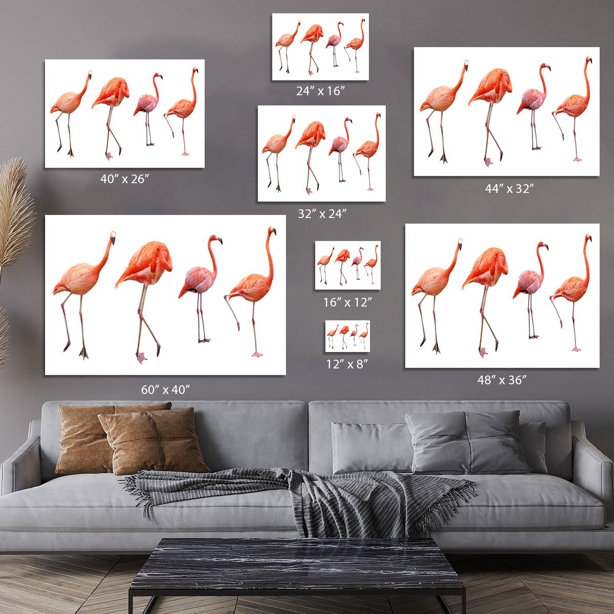 Four pink flamingo birds isolated on white Canvas Print or Poster