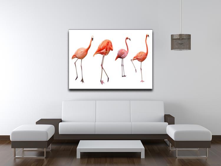 Four pink flamingo birds isolated on white Canvas Print or Poster - Canvas Art Rocks - 4