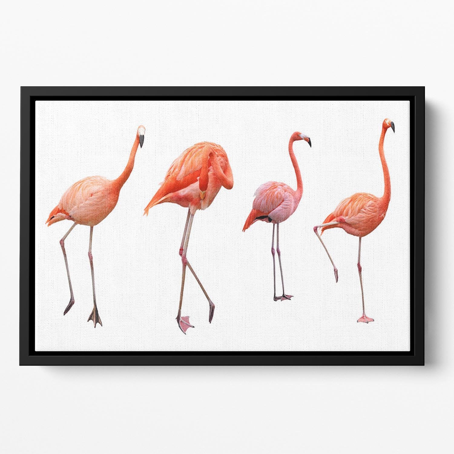 Four pink flamingo birds isolated on white Floating Framed Canvas - Canvas Art Rocks - 2