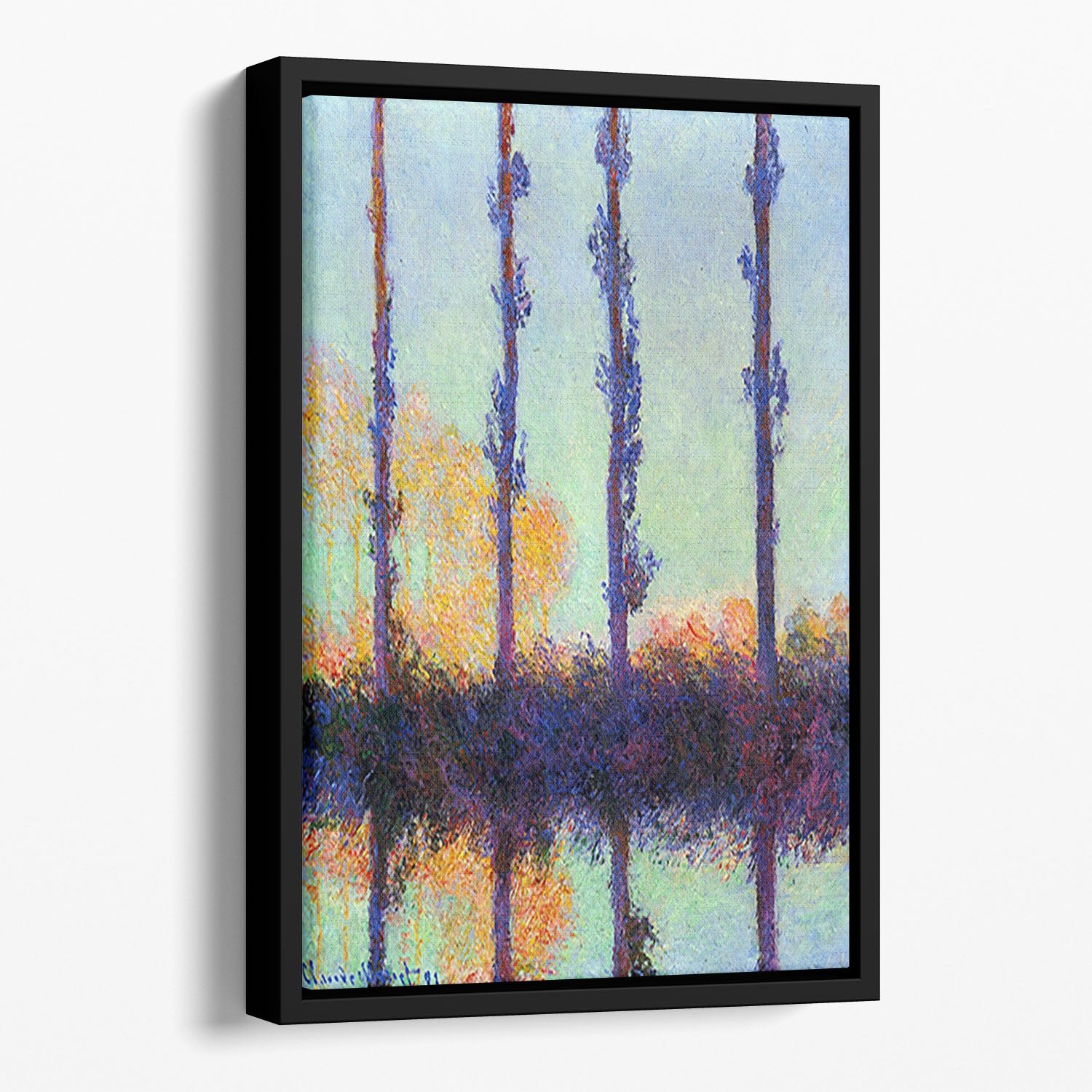 Four poplars by Monet Floating Framed Canvas