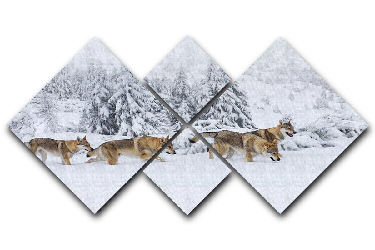 Four wolves in fresh snow in the mountains 4 Square Multi Panel Canvas - Canvas Art Rocks - 1