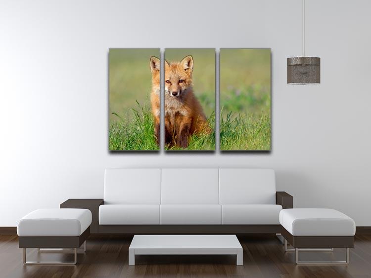 Fox Kit 3 Split Panel Canvas Print - Canvas Art Rocks - 3