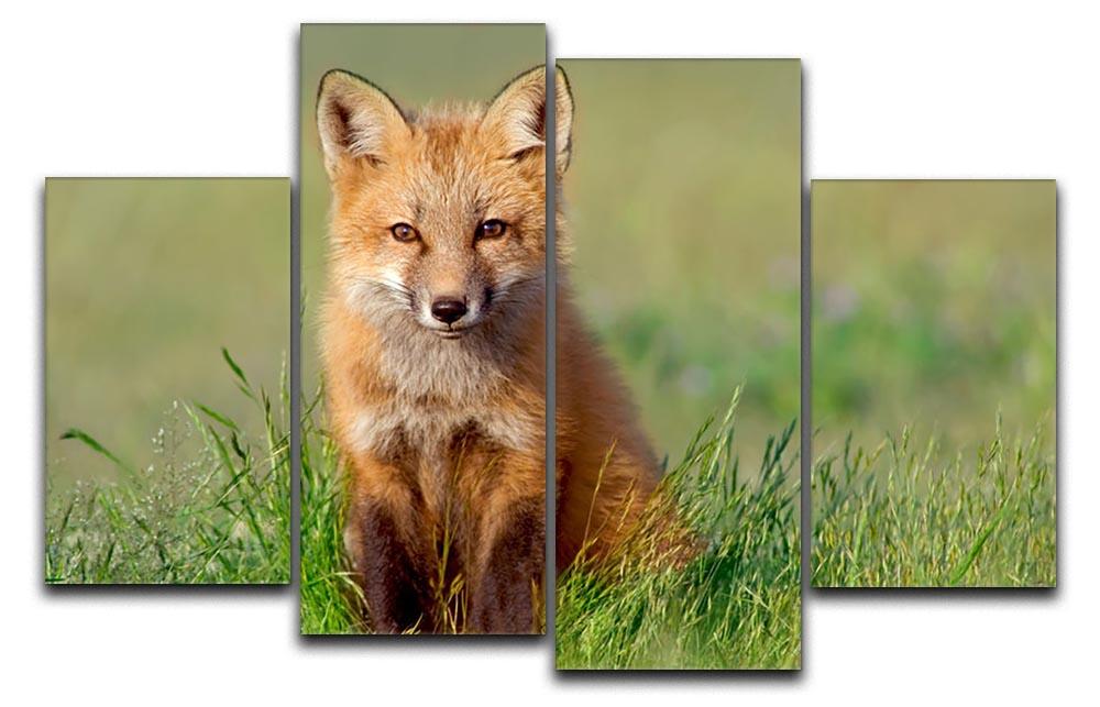 Fox Kit 4 Split Panel Canvas - Canvas Art Rocks - 1