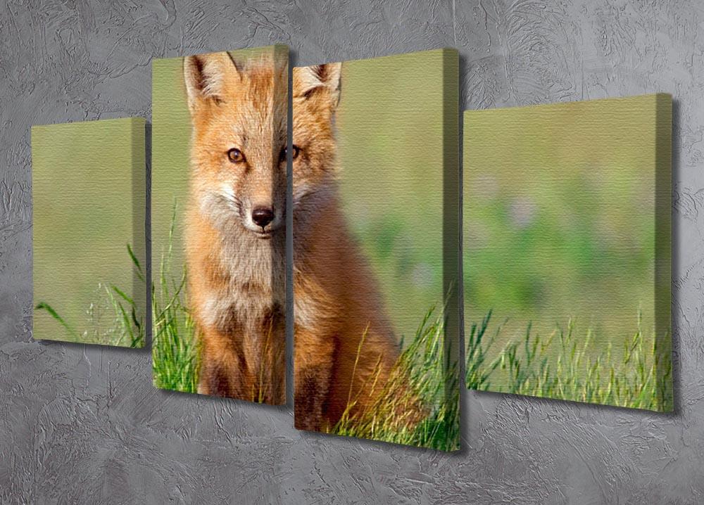 Fox Kit 4 Split Panel Canvas - Canvas Art Rocks - 2
