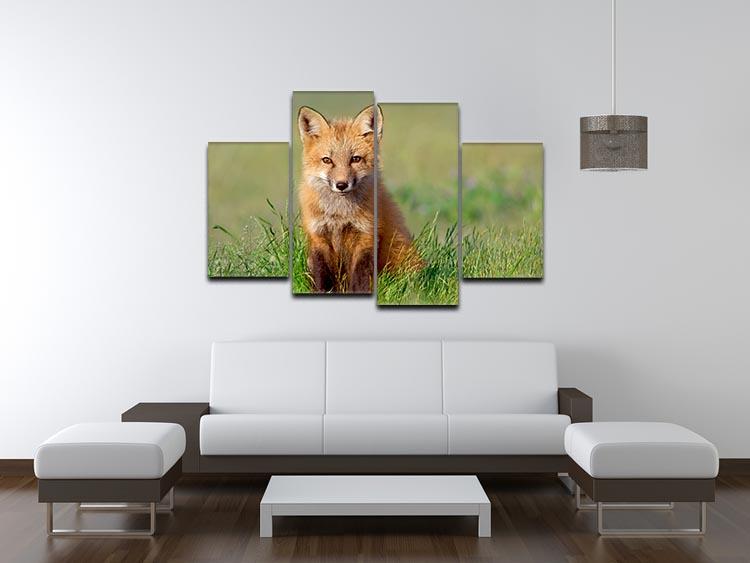 Fox Kit 4 Split Panel Canvas - Canvas Art Rocks - 3