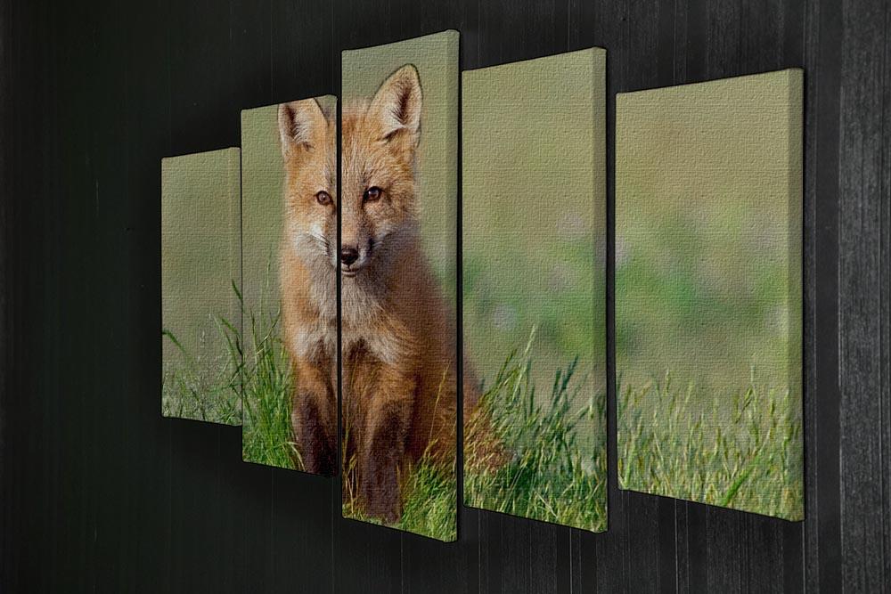Fox Kit 5 Split Panel Canvas - Canvas Art Rocks - 2