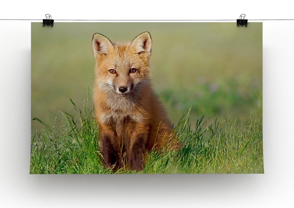 Fox Kit Canvas Print or Poster - Canvas Art Rocks - 2